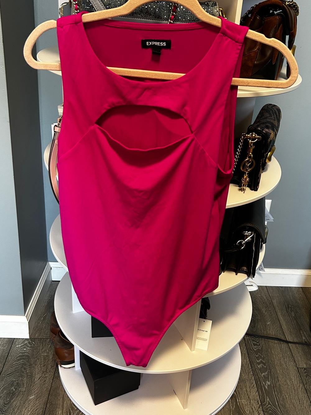 Express Magenta Bodysuit